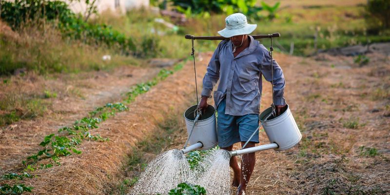 Práticas culturais de agricultura  