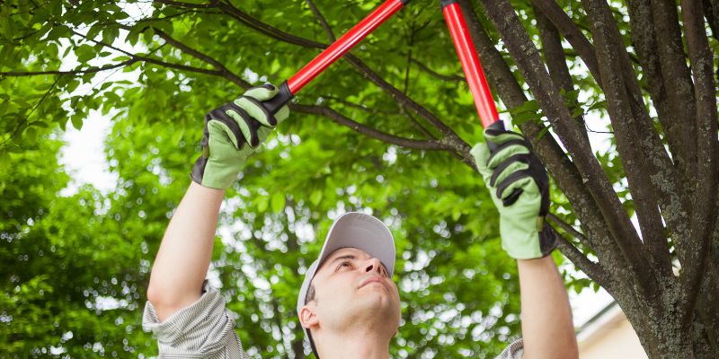 Segurança no trabalho