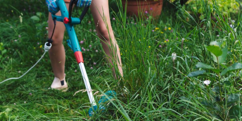 Grande variedade de modelos e preços